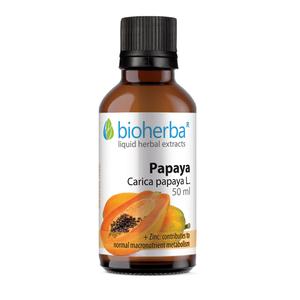 Bioherba tinktura ekstrakta papaje 50 ML